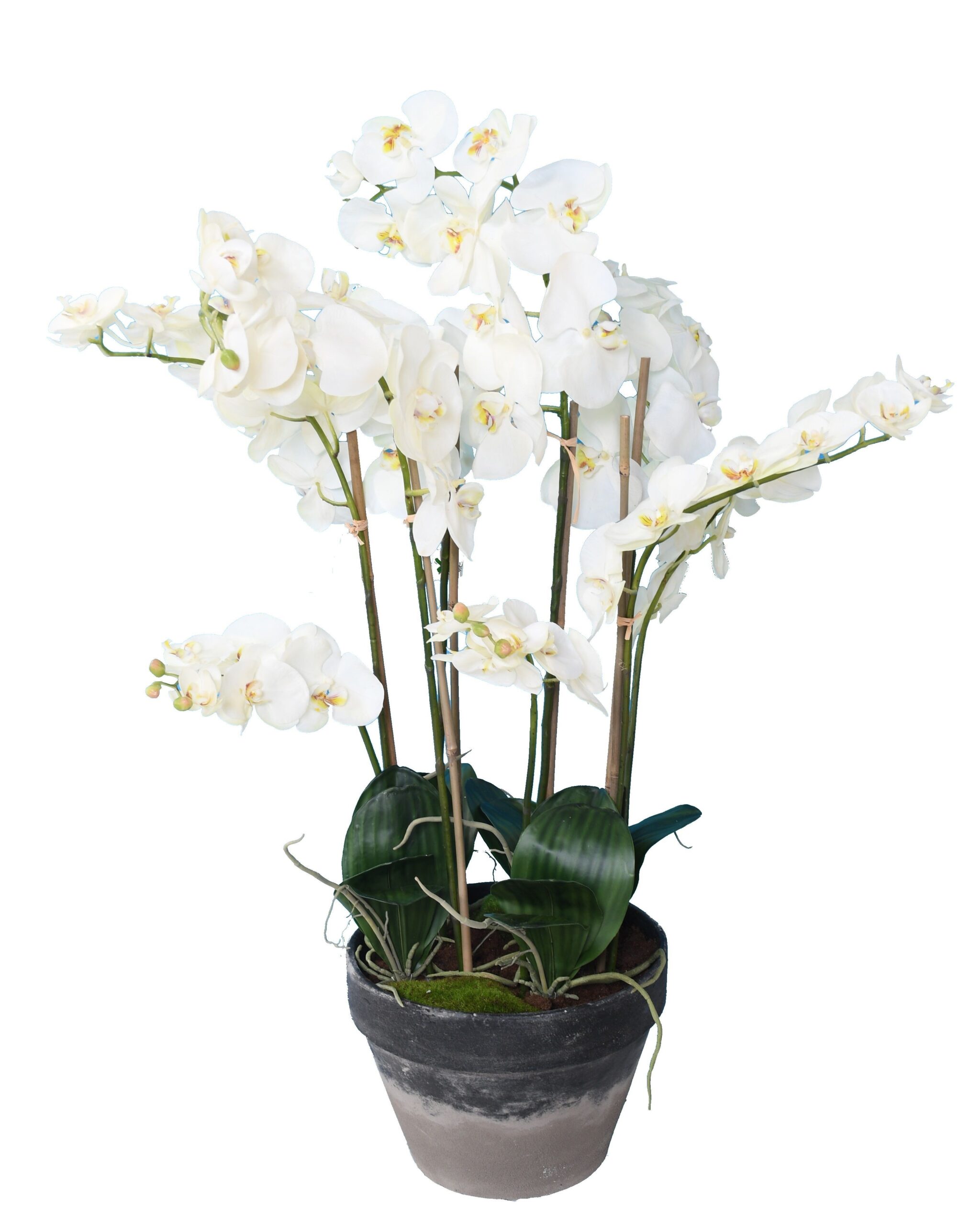 Künstliche Phalaenopsis Orchidee, ca 105cm, weiss 1 Künstliche Phalaenopsis Orchidee, ca 105cm, weiss