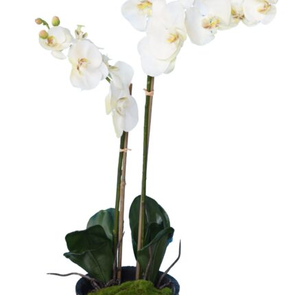 Künstliche Phalaenopsis Orchidee, ca 85cm, weiss