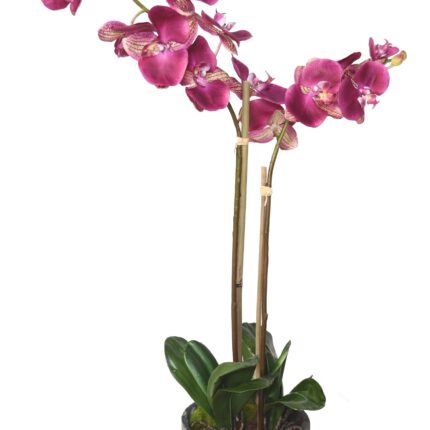 Künstliche Phalaenopsis Orchidee, ca 85cm, pink