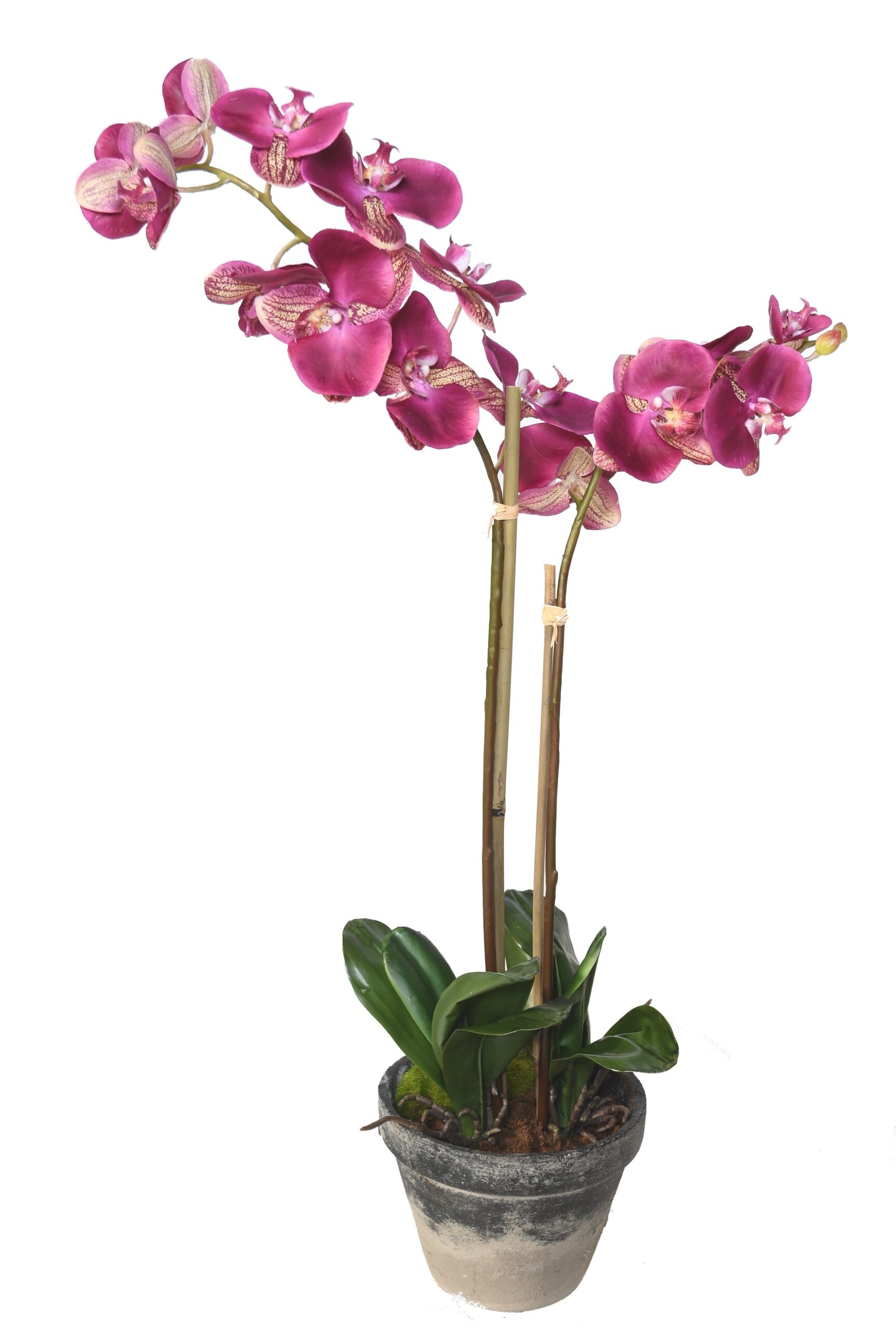Künstliche Phalaenopsis Orchidee, ca 85cm, pink 1 Künstliche Phalaenopsis Orchidee, ca 85cm, pink