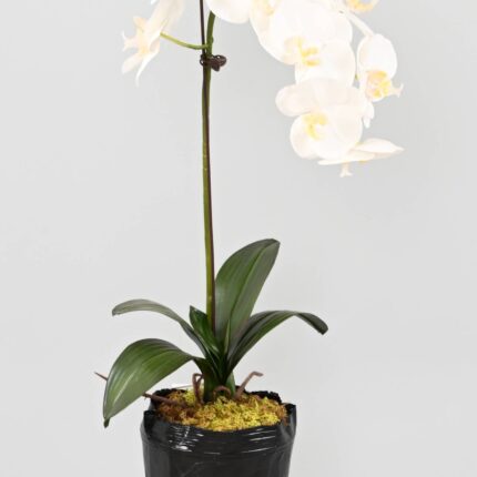 Künstliche Phalaenopsis Orchidee, ca 85cm, weiss