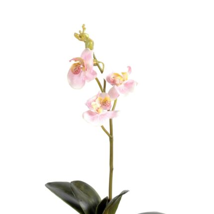 Künstliche Phalaenopsis Orchidee, ca 40cm, pink