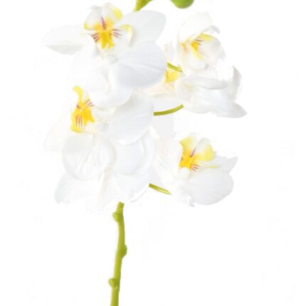 Künstliche Phalaenopsis, weiß, ca. 60cm hoch