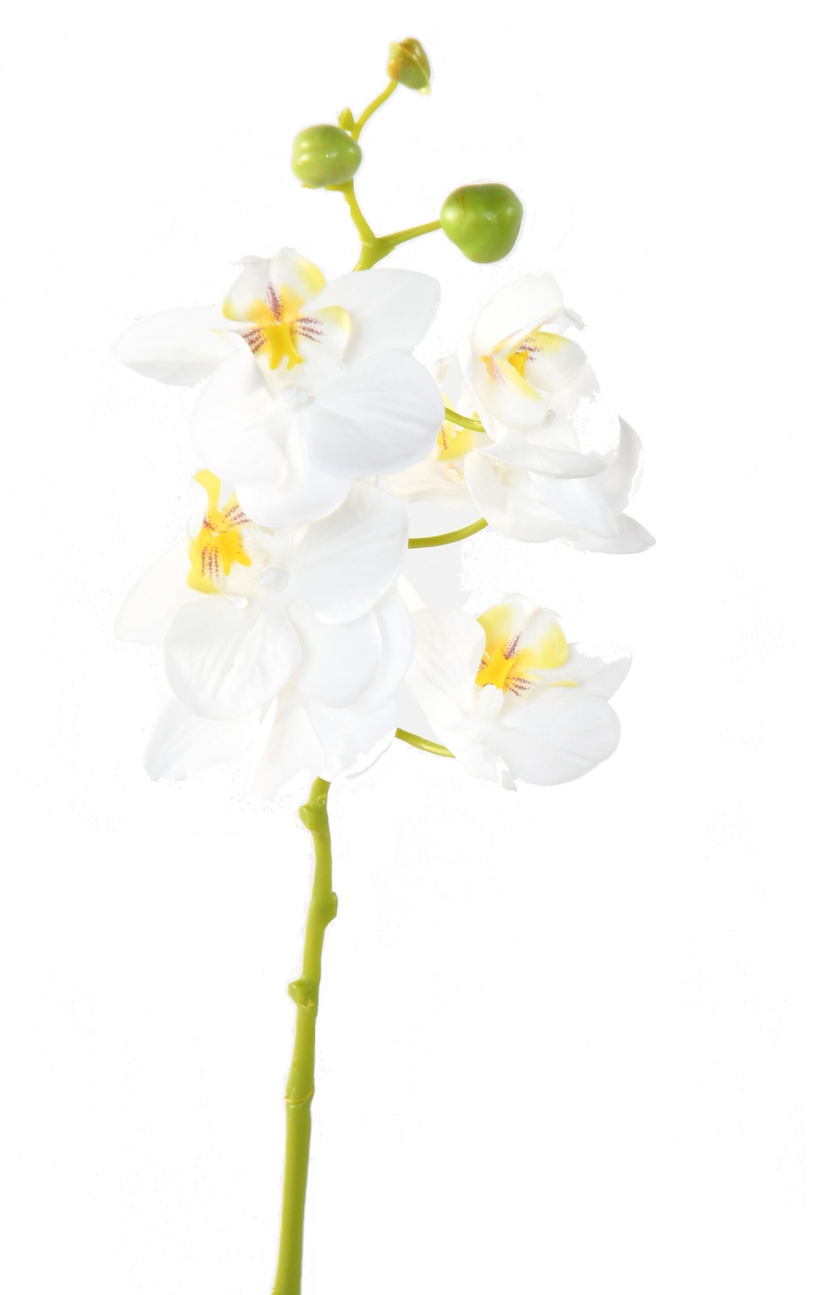 Künstliche Phalaenopsis, weiß, ca. 60cm hoch 1 Künstliche Phalaenopsis, weiß, ca. 60cm hoch