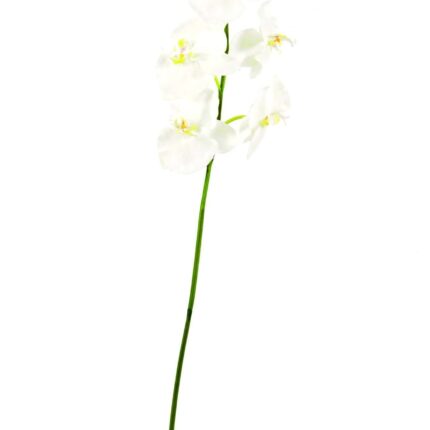 Künstliche Phalaenopsis, weiß, ca. 160cm hoch