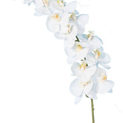 Künstliche Phalaenopsis, weiß, ca. 125cm hoch