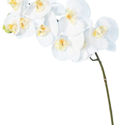Künstliche Phalaenopsis, weiß, ca. 98cm hoch