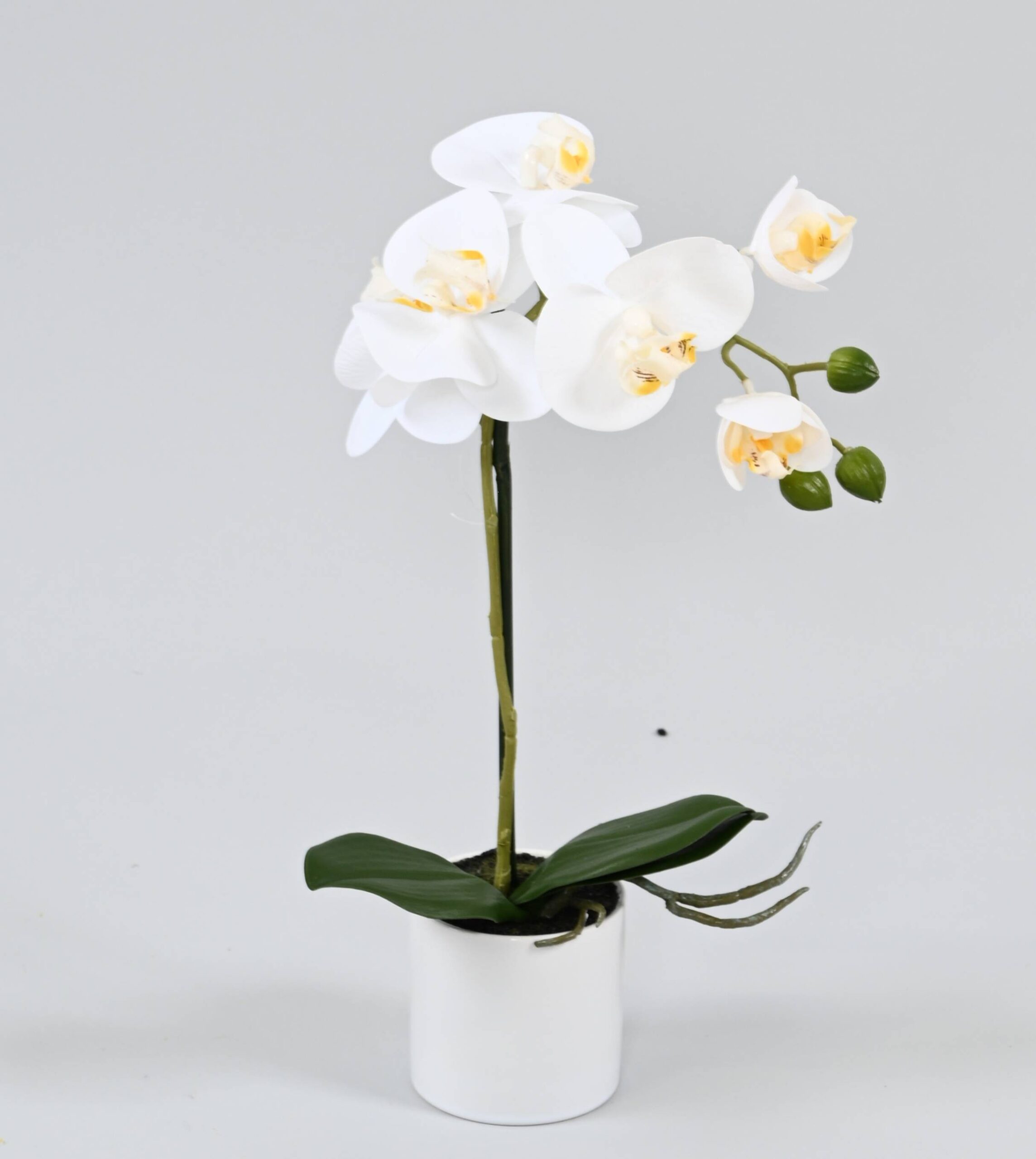 Künstliche Phalaenopsis Orchidee, ca 39cm, weiss 1 Künstliche Phalaenopsis Orchidee, ca 39cm, weiss