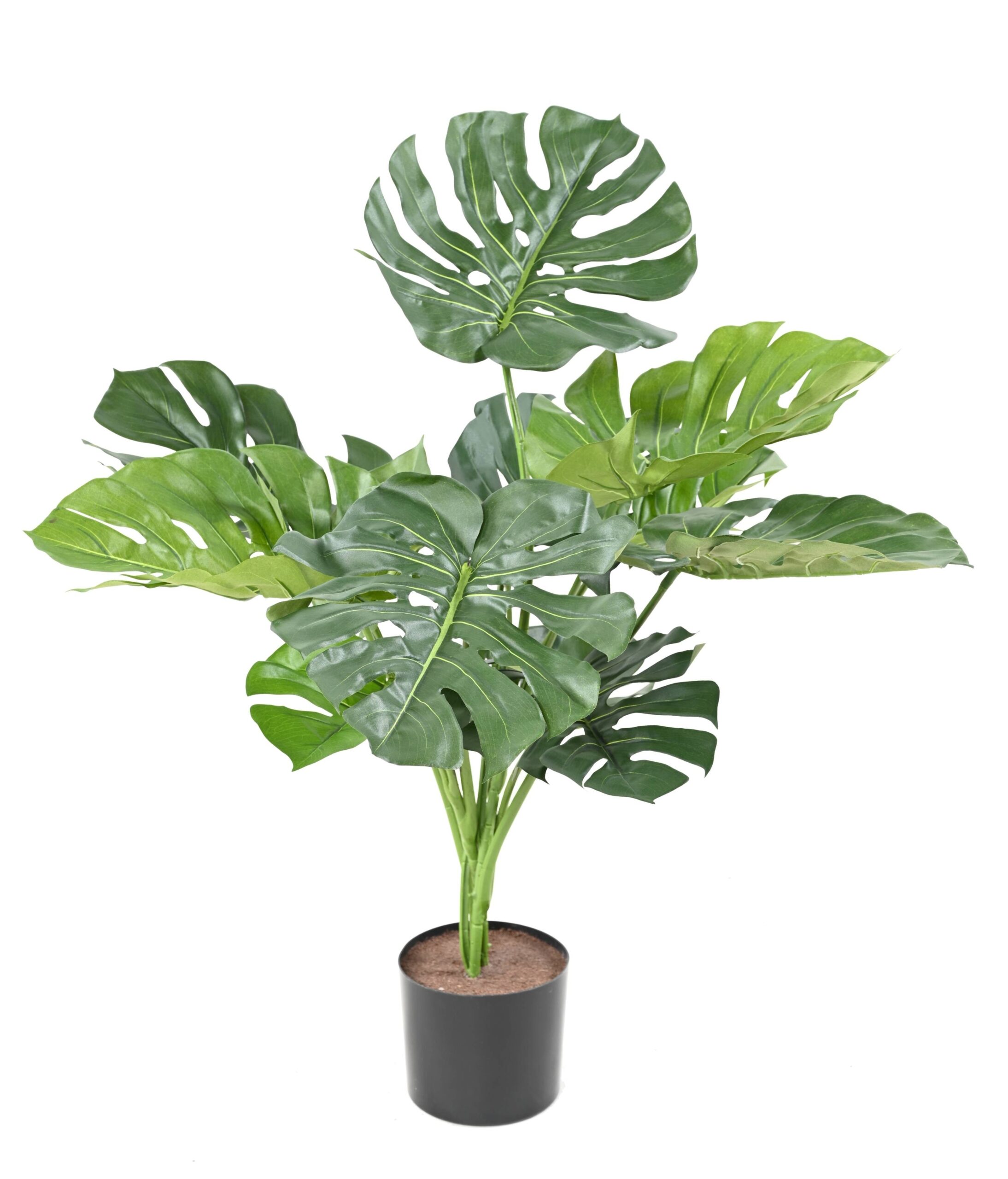 Künstlicher Philodendron, 75cm hoch, grün - Pflegeleicht! 1 Künstlicher Philodendron, 75cm hoch, grün - Pflegeleicht!