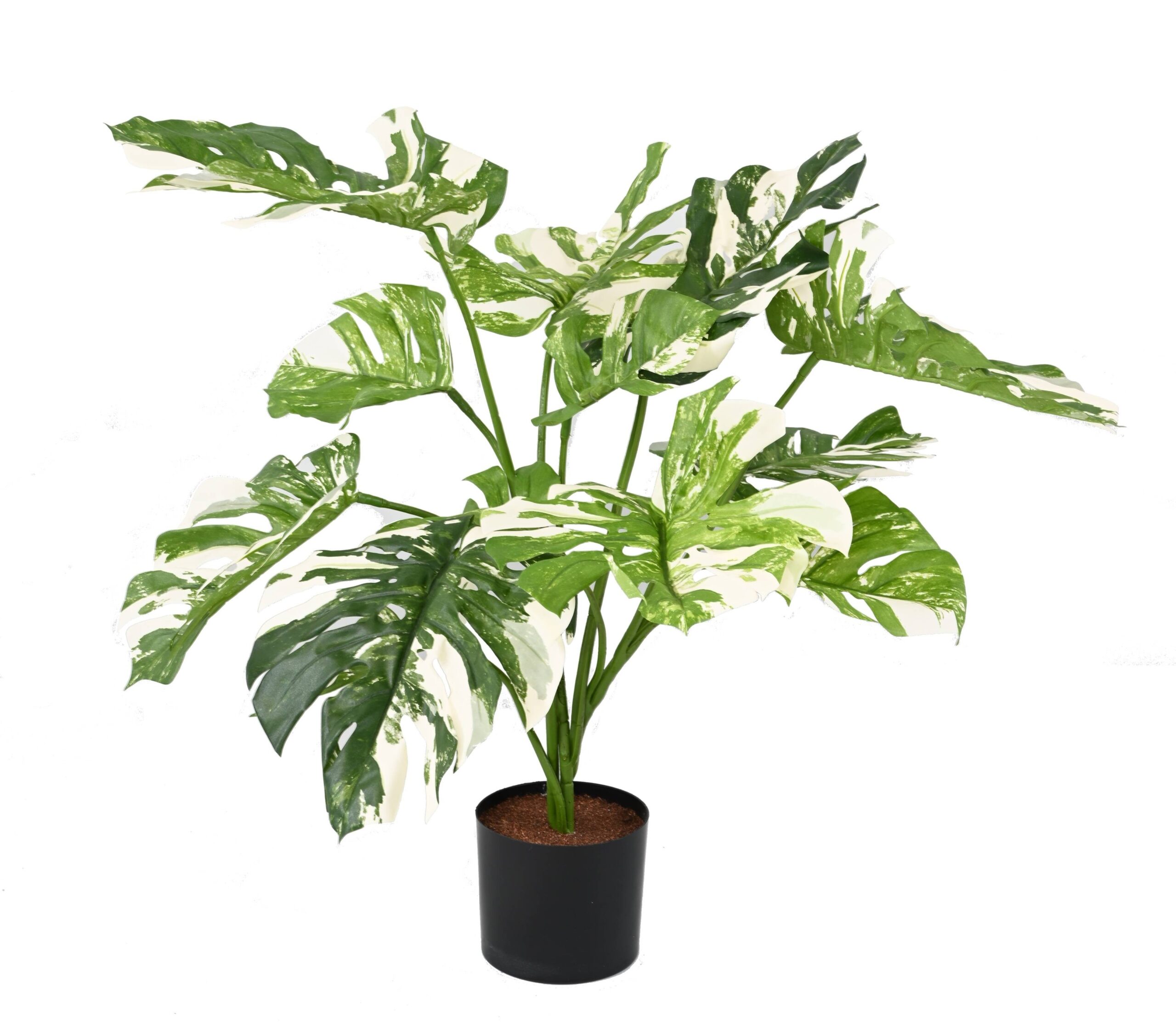 Künstlicher Philodendron, 75cm hoch, grün und pflegeleicht 1 Künstlicher Philodendron, 75cm hoch, grün und pflegeleicht