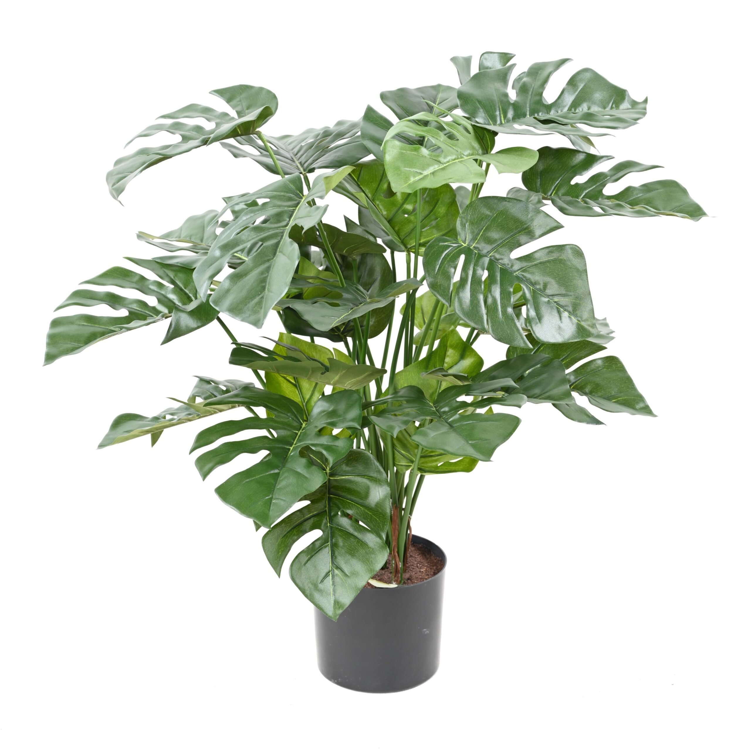 Künstlicher Philodendron, 72cm hoch, grün - Pflegeleicht! 1 Künstlicher Philodendron, 72cm hoch, grün - Pflegeleicht!