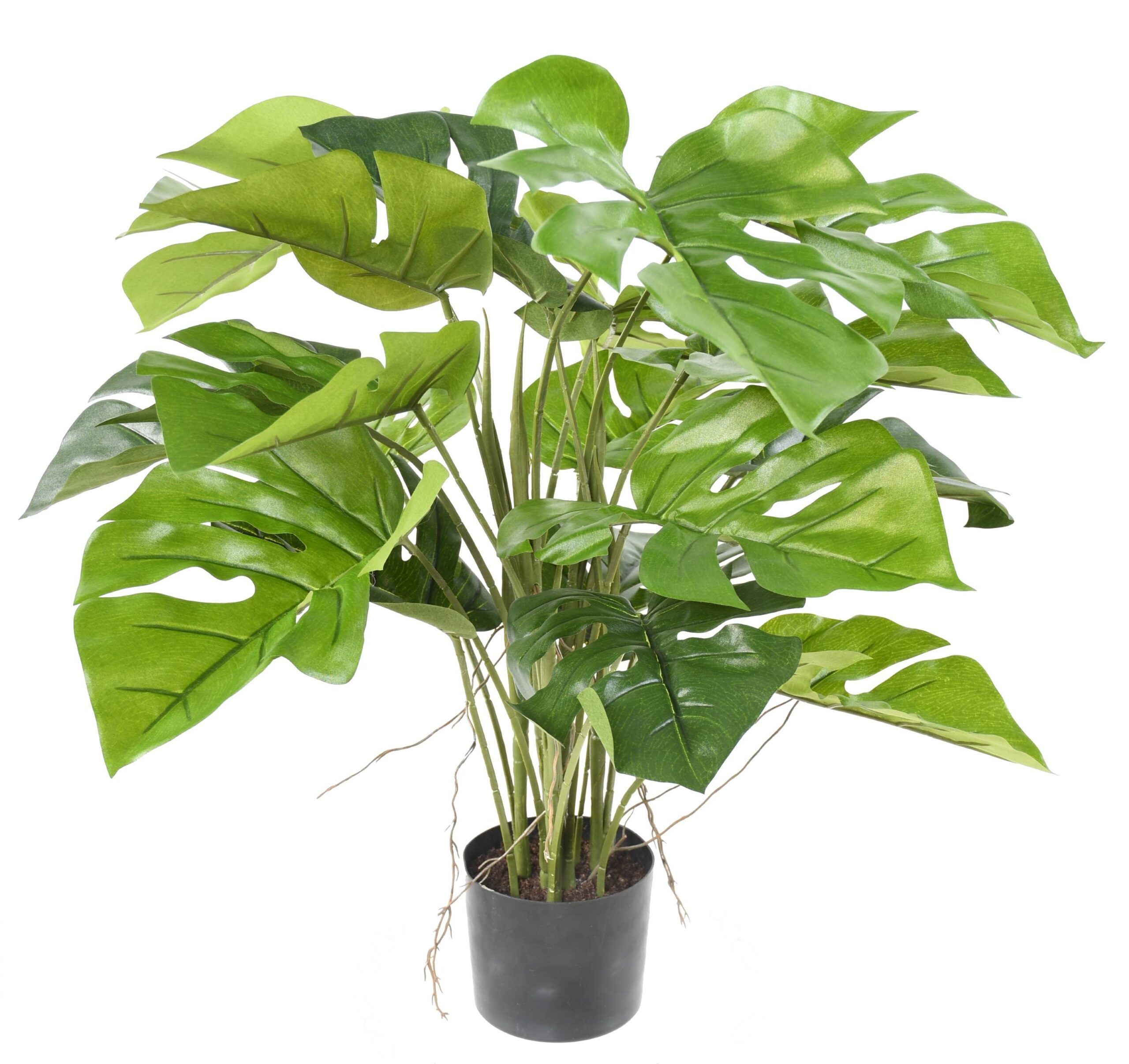 Künstlicher Philodendron, 60cm hoch, grün - Pflegeleicht! 1 Künstlicher Philodendron, 60cm hoch, grün - Pflegeleicht!