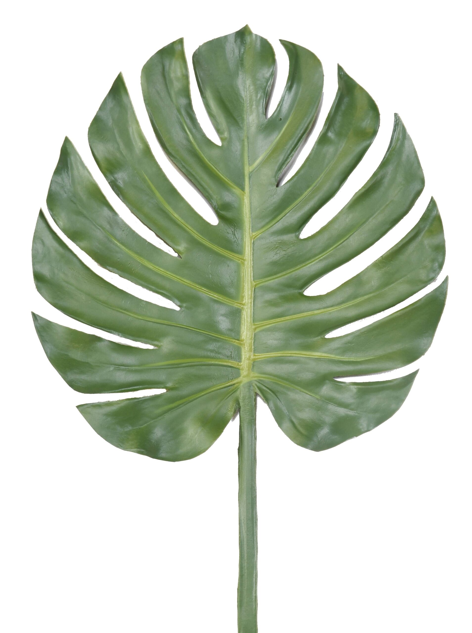 Künstlicher Monstera Blattzweig, ca 100cm, grün 1 Künstlicher Monstera Blattzweig, ca 100cm, grün