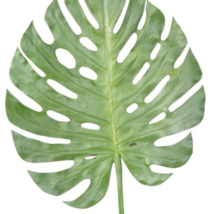 Künstlicher Monstera Blattzweig, ca 120cm, grün