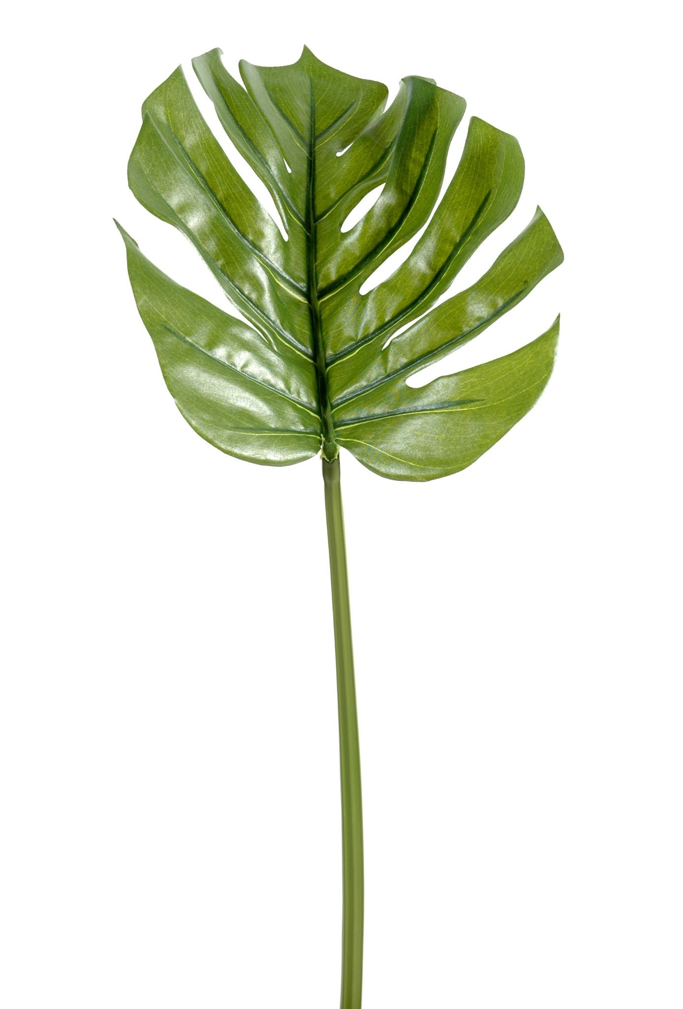 Künstlicher Philodendron Monstera Zweig, ca 45cm, hellgrün 1 Künstlicher Philodendron Monstera Zweig, ca 45cm, hellgrün