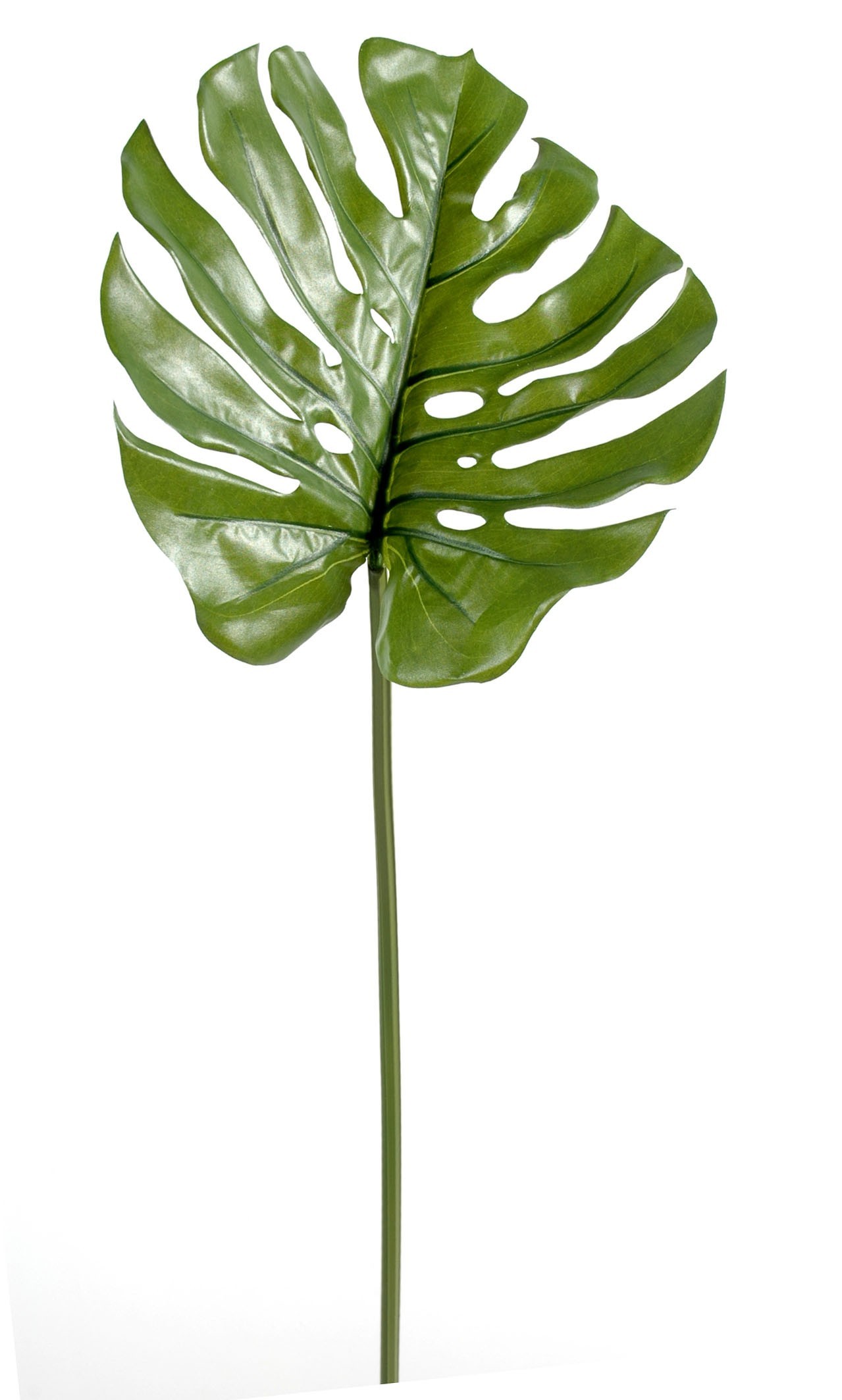 Künstlicher Philodendron Monstera Zweig, ca 75cm, grün 1 Künstlicher Philodendron Monstera Zweig, ca 75cm, grün