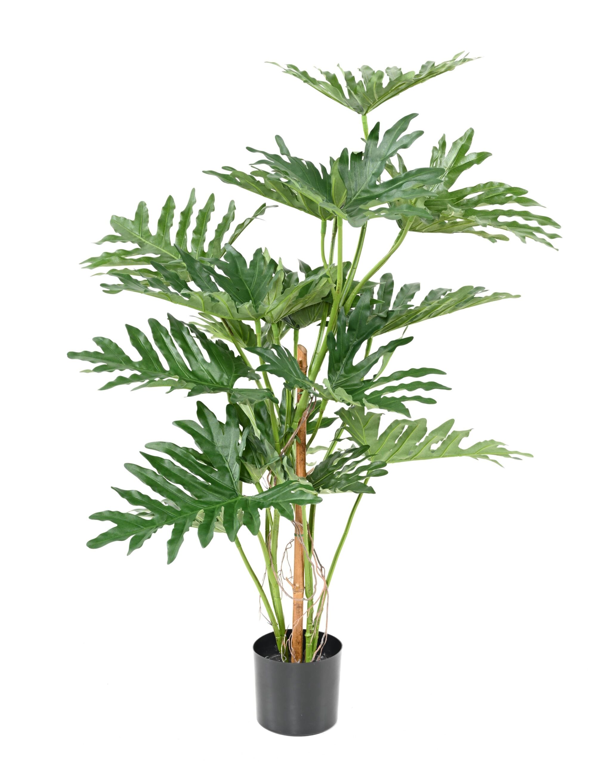 Künstlicher Philodendron Selloum, 120cm hoch, grün 1 Künstlicher Philodendron Selloum, 120cm hoch, grün
