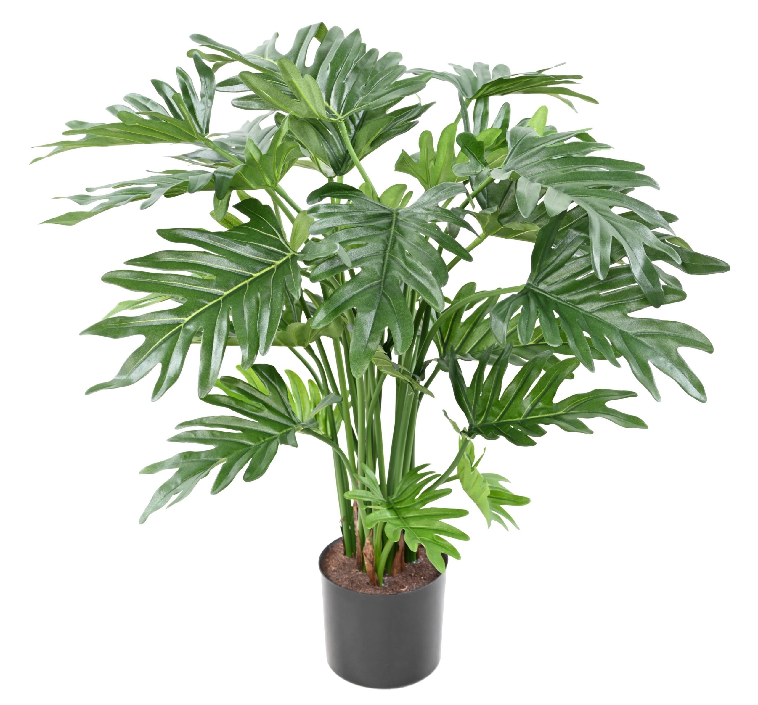 Künstlicher Philodendron Selloum, 63cm hoch, grün 1 Künstlicher Philodendron Selloum, 63cm hoch, grün