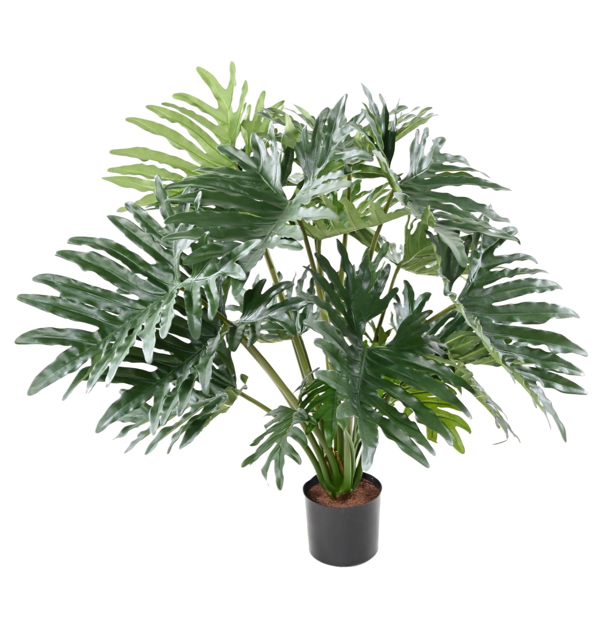Künstlicher Philodendron Selloum, 95cm hoch, grün 1 Künstlicher Philodendron Selloum, 95cm hoch, grün