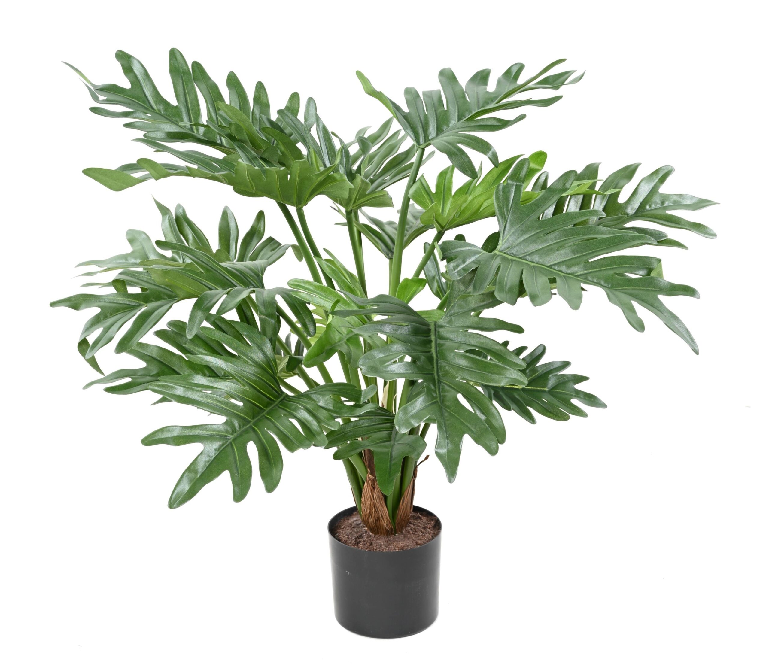 Künstlicher Philodendron Selloum, 50cm hoch, grün 1 Künstlicher Philodendron Selloum, 50cm hoch, grün