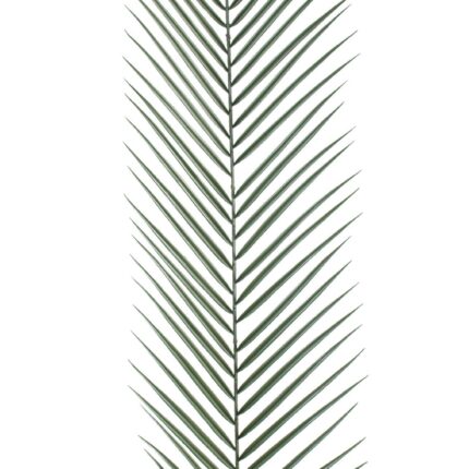 Künstlicher Phoenix Palmzweig, ca 135cm, grün
