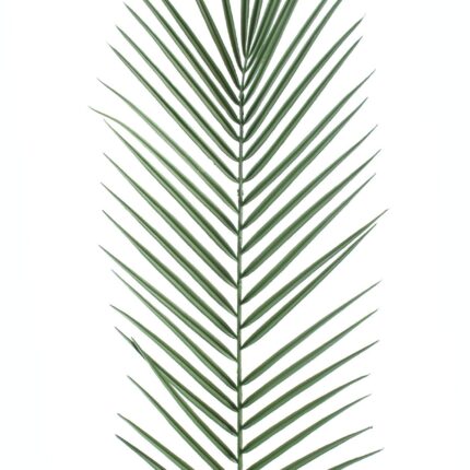 Künstlicher Phoenix Palmzweig, ca 95cm, grün, UV-Beständig