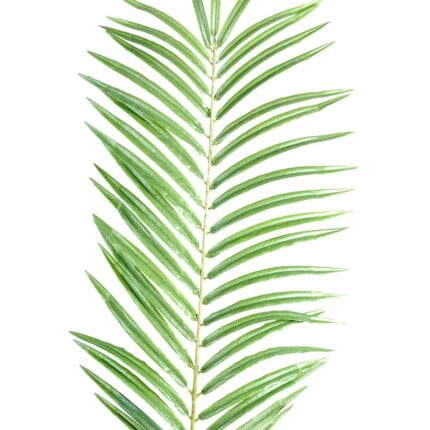 Künstlicher Phoenix-Palmwedel, ca 60cm, grün