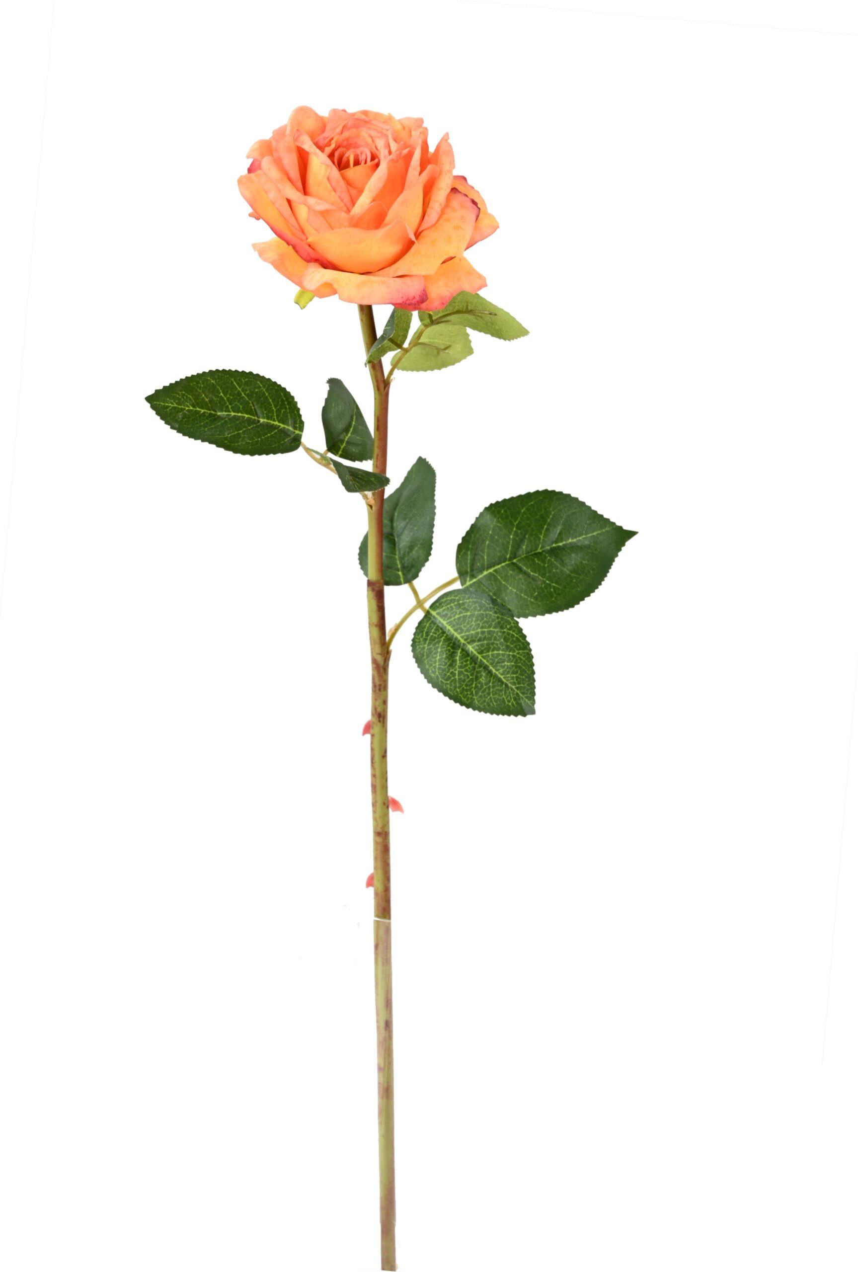 Künstliche Rose, orange, ca. 55cm hoch – Pflegeleicht! 1 Künstliche Rose, orange, ca. 55cm hoch – Pflegeleicht!