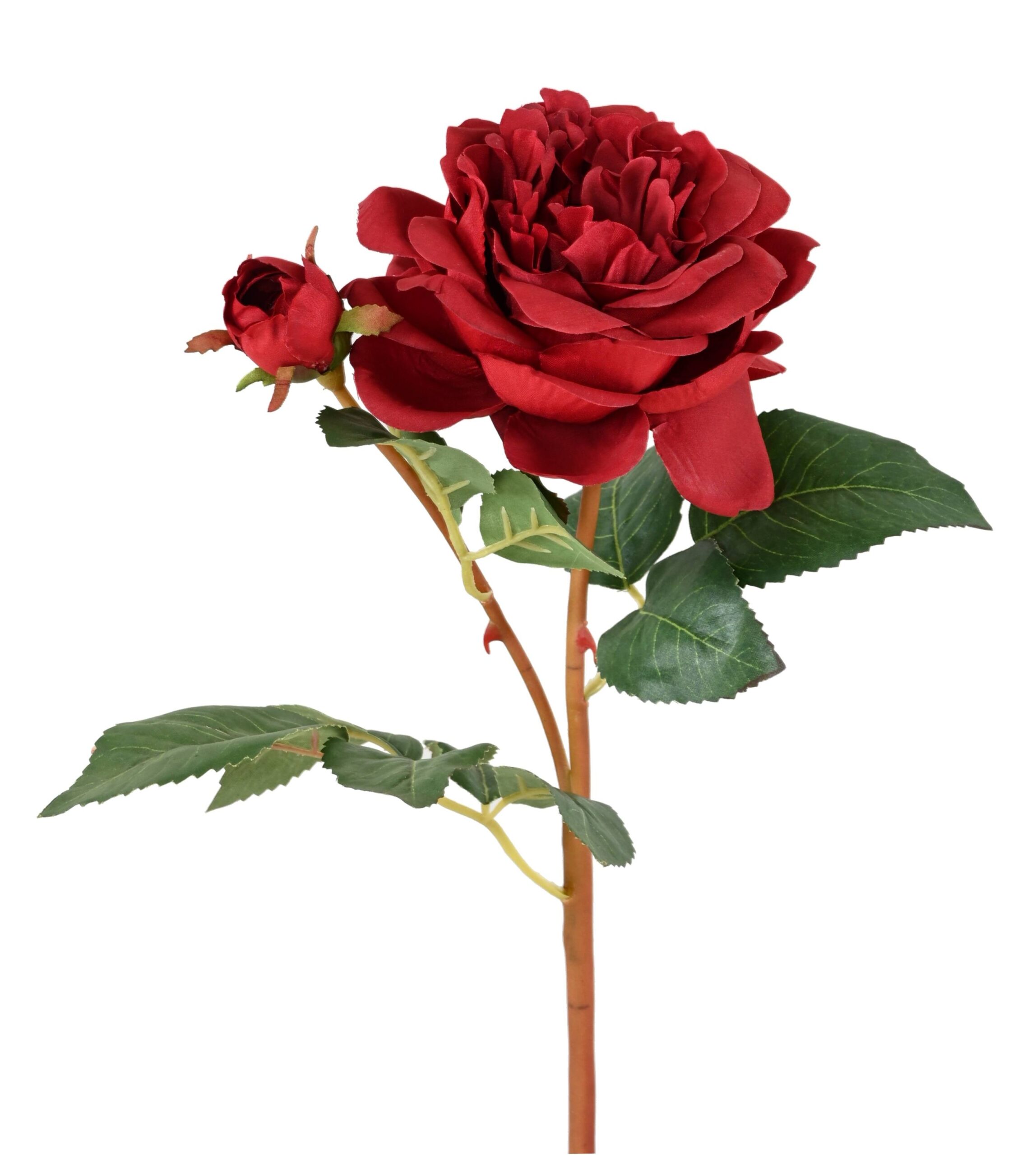 Künstliche Rose, rot, ca. 53cm hoch – Pflegeleicht & Schön 1 Künstliche Rose, rot, ca. 53cm hoch – Pflegeleicht & Schön