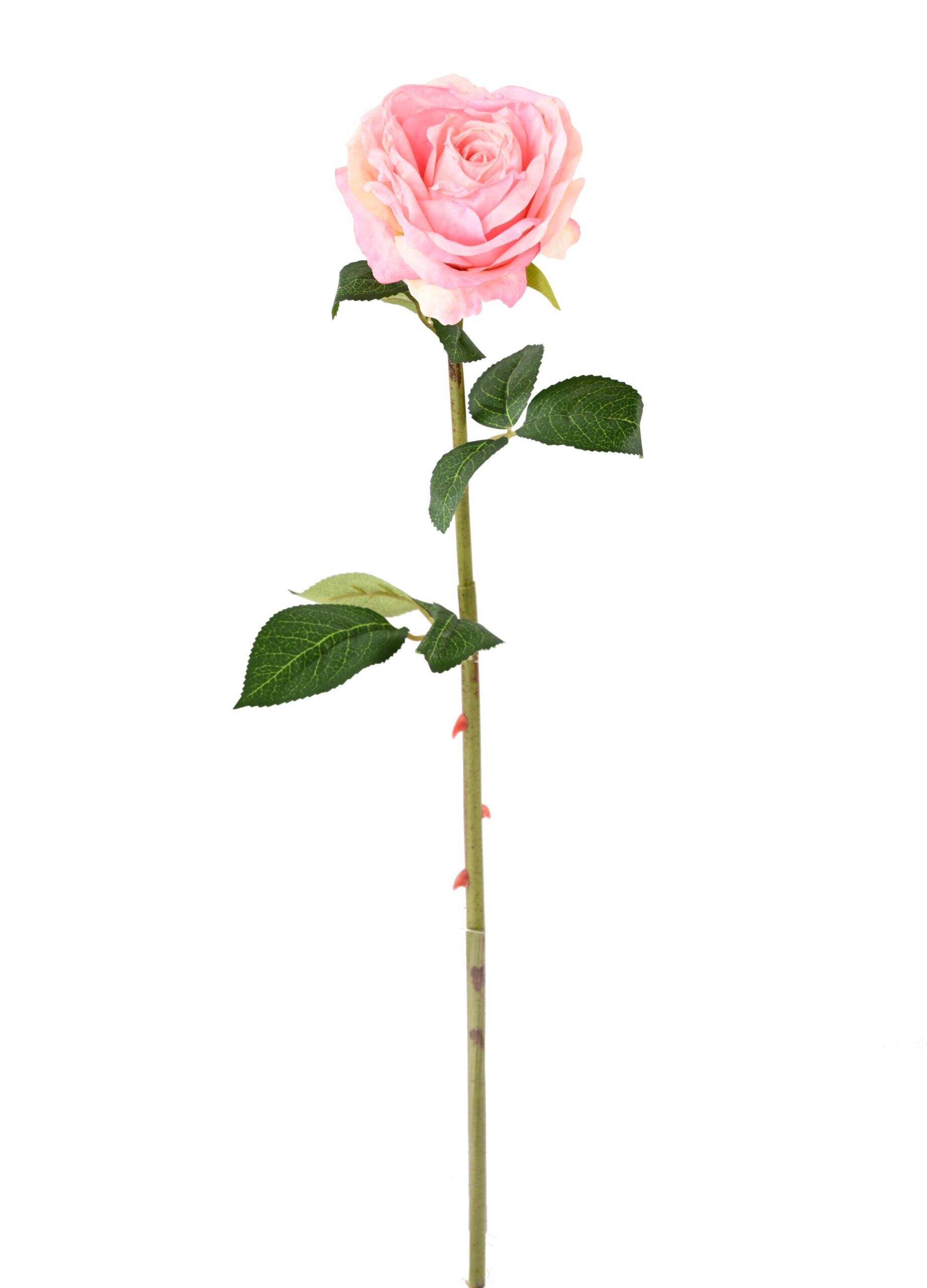 Künstliche Rose, pink, ca. 55cm hoch - Pflegeleicht! 1 Künstliche Rose, pink, ca. 55cm hoch - Pflegeleicht!