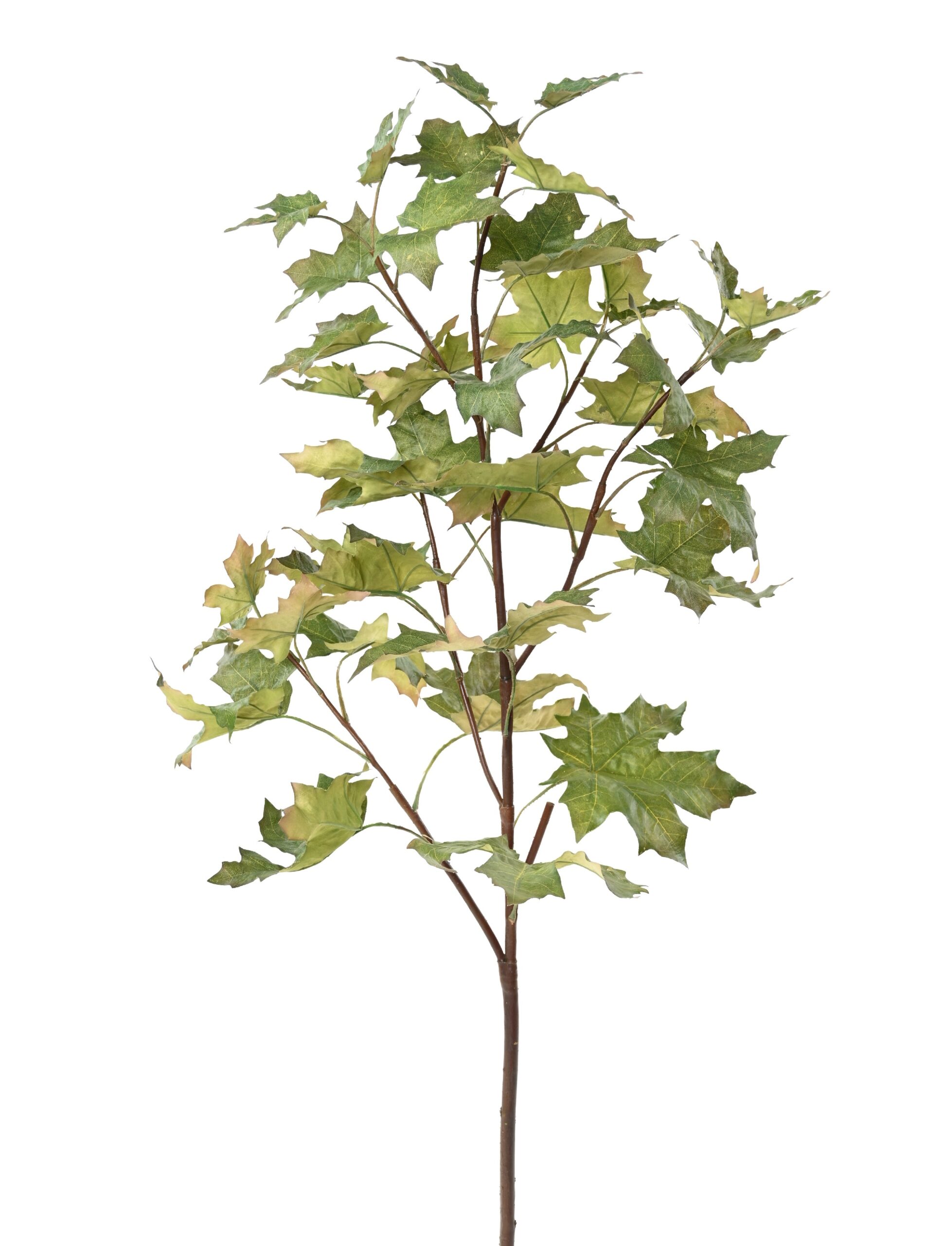 Künstlicher Platanen-Zweig, ca 120cm, grün 1 Künstlicher Platanen-Zweig, ca 120cm, grün