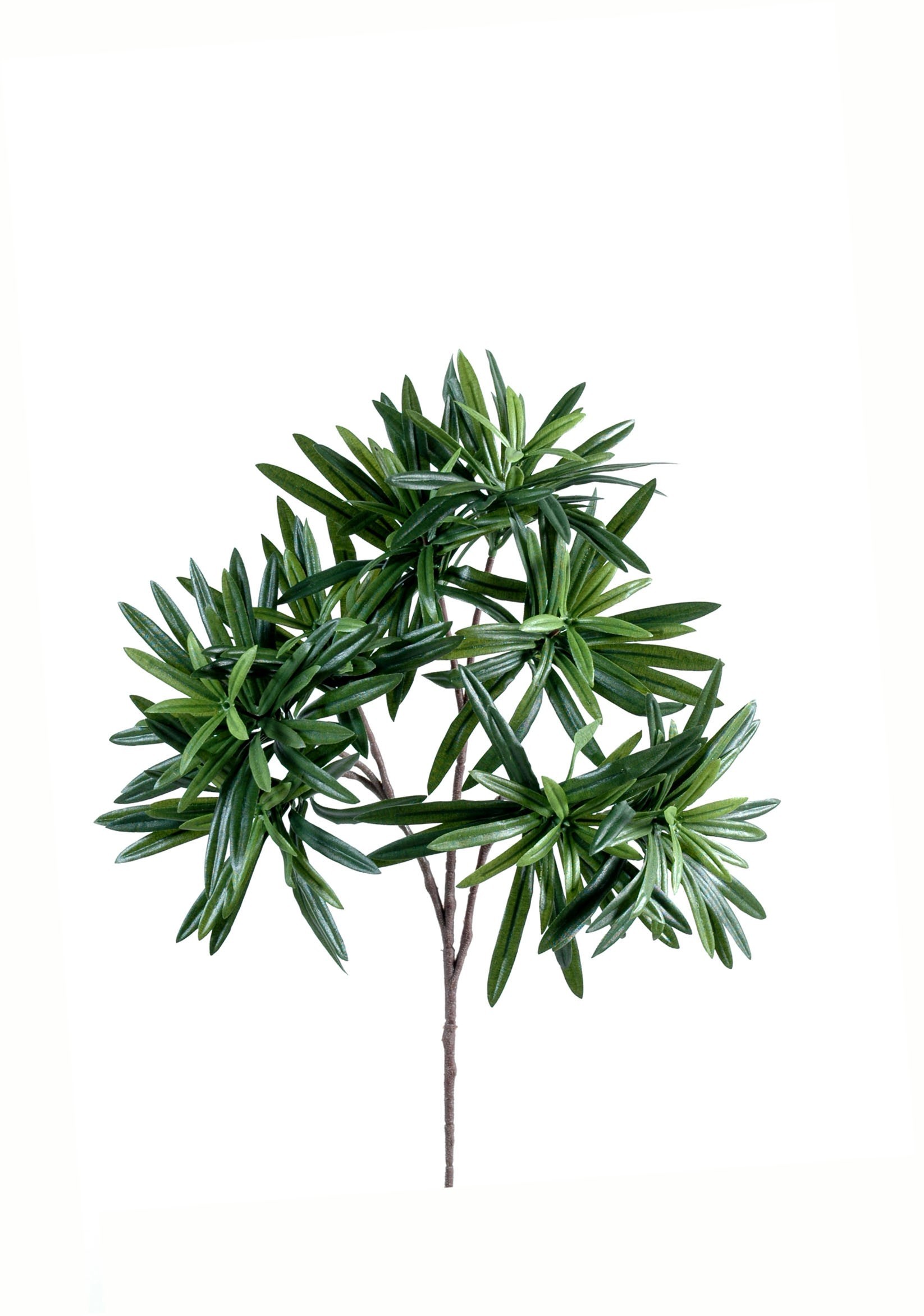 Künstlicher Podocarpus Zweig, ca 35cm, grün 1 Künstlicher Podocarpus Zweig, ca 35cm, grün