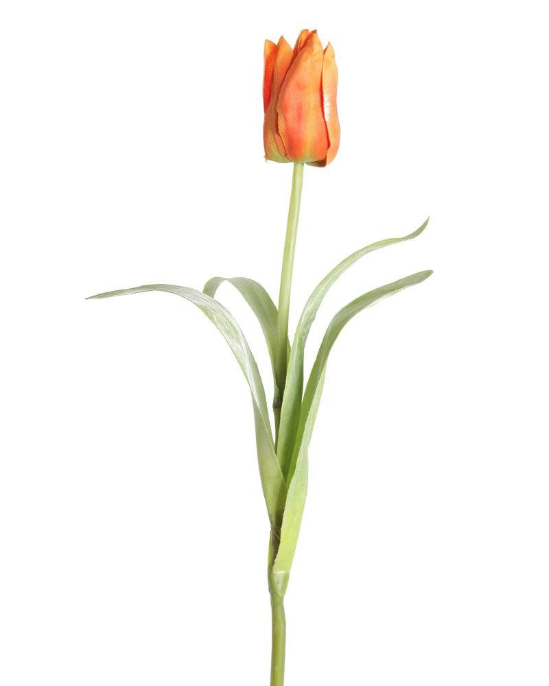 Künstliche Tulpe, orange, ca. 42cm hoch - Pflegeleicht! 1 Künstliche Tulpe, orange, ca. 42cm hoch - Pflegeleicht!