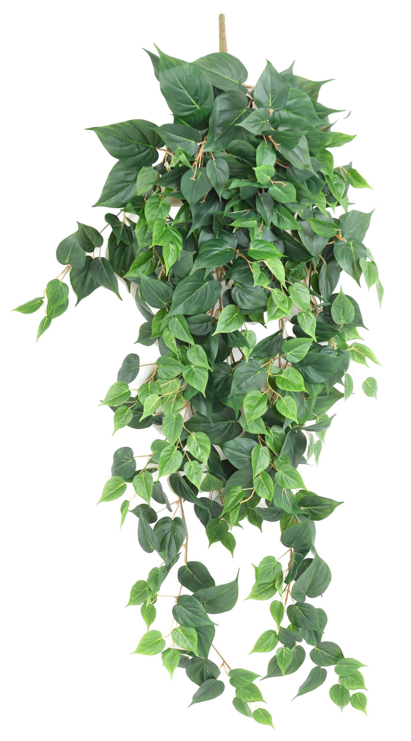 Künstliche Hängepflanze Pothos, ca. 130cm 1 Künstliche Hängepflanze Pothos, ca. 130cm