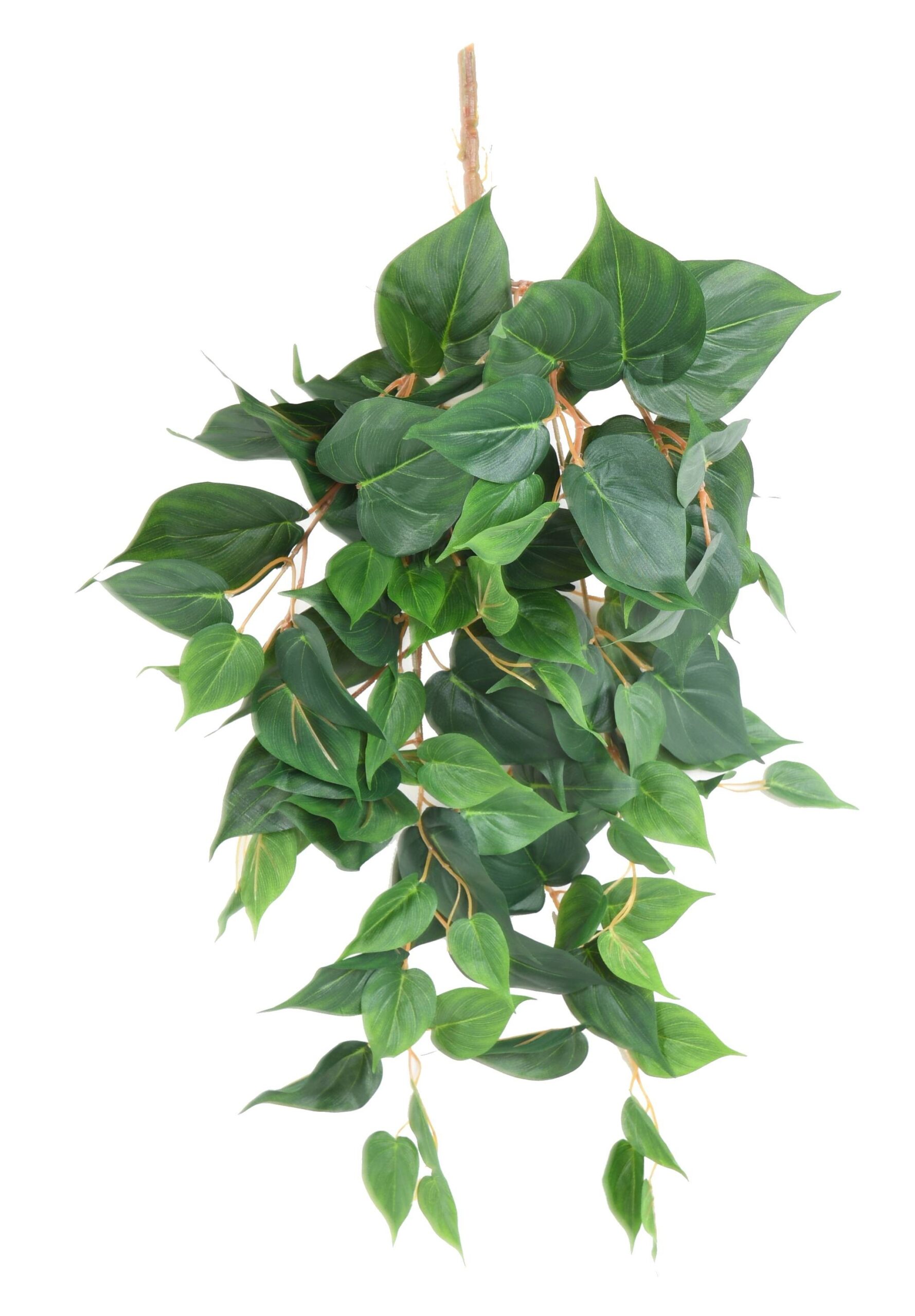 Künstliche Hängepflanze Pothos, ca. 95cm 1 Künstliche Hängepflanze Pothos, ca. 95cm