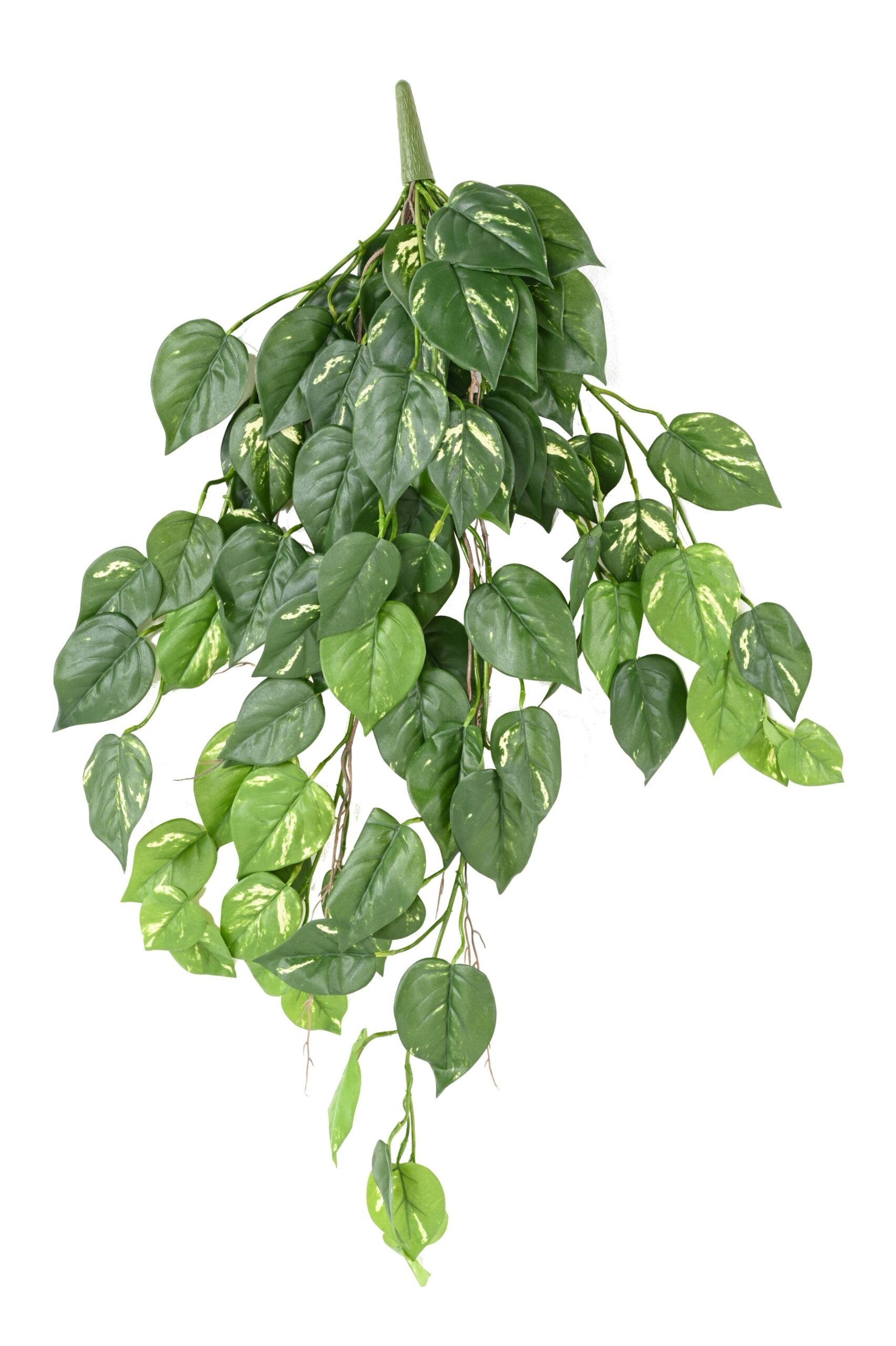 Künstliche Hängepflanze Pothos, ca. 95cm, UV-beständig 1 Künstliche Hängepflanze Pothos, ca. 95cm, UV-beständig