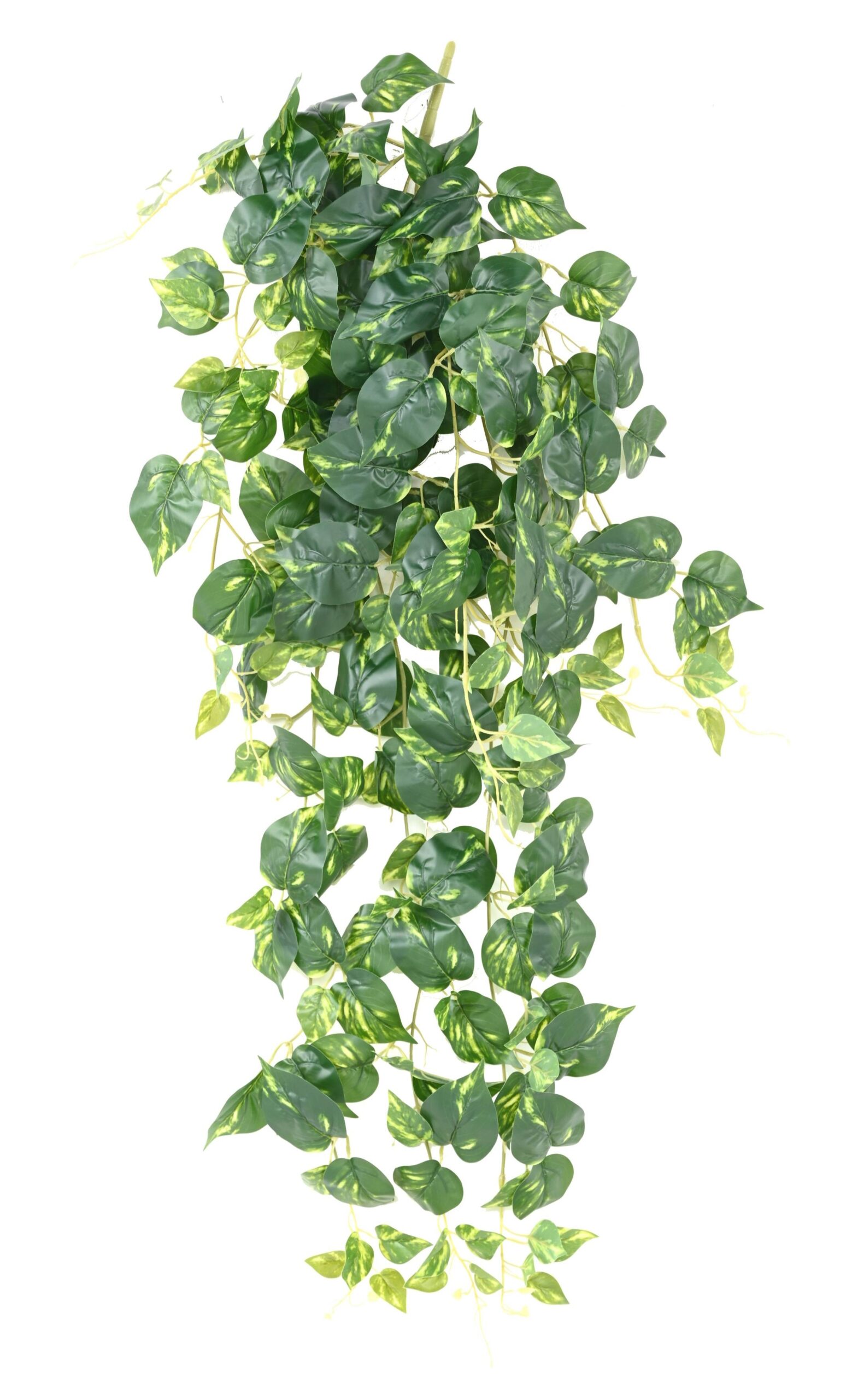 Künstliche Hängepflanze Pothos, ca. 120cm 1 Künstliche Hängepflanze Pothos, ca. 120cm