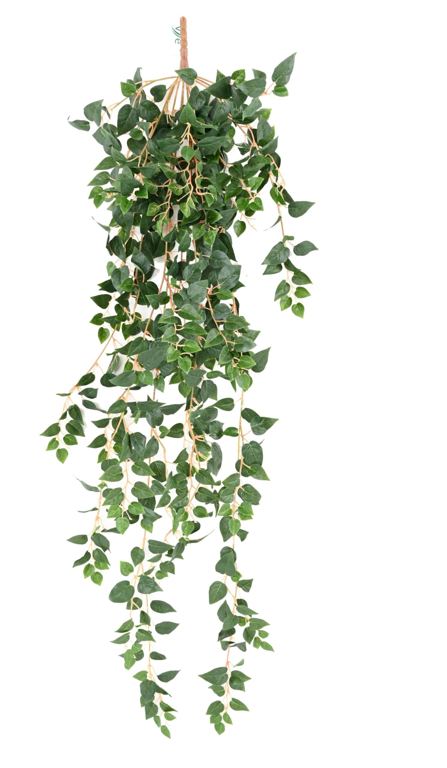 Künstliche Hängepflanze Pothos, ca. 110cm 1 Künstliche Hängepflanze Pothos, ca. 110cm