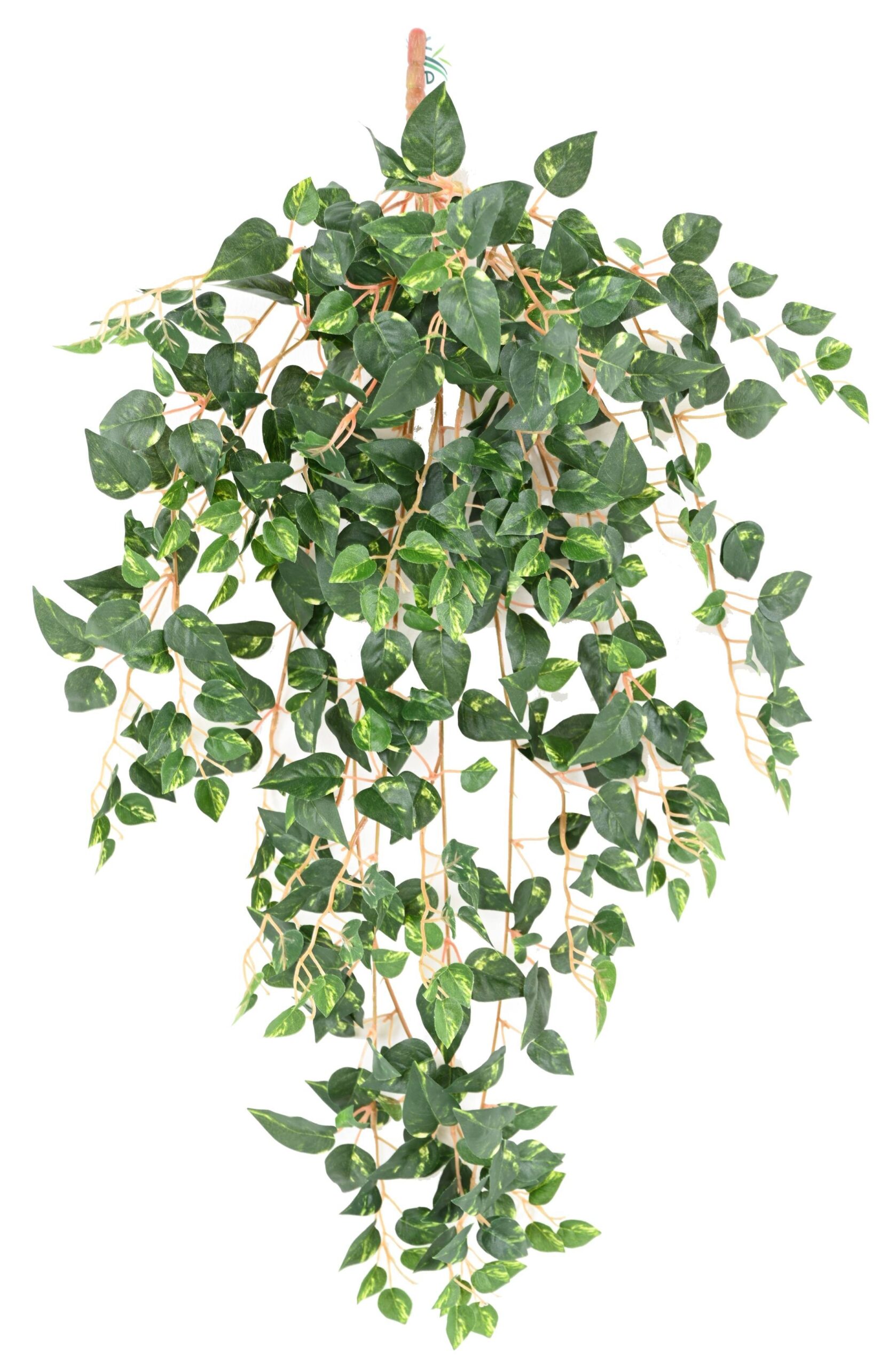 Künstliche Hängepflanze Pothos, ca. 95cm 1 Künstliche Hängepflanze Pothos, ca. 95cm