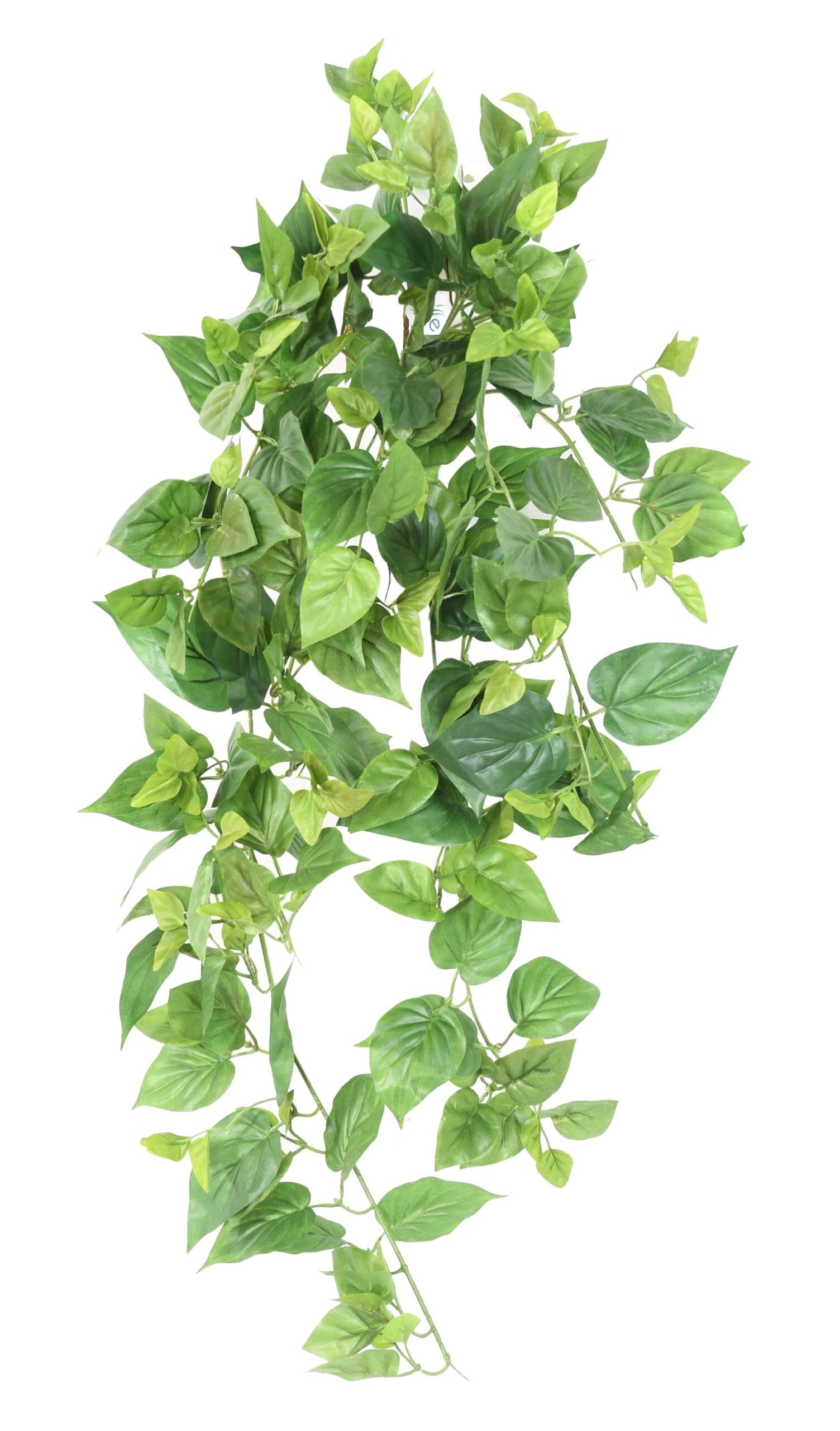 Künstliche Hängepflanze Pothos, ca. 75cm 1 Künstliche Hängepflanze Pothos, ca. 75cm