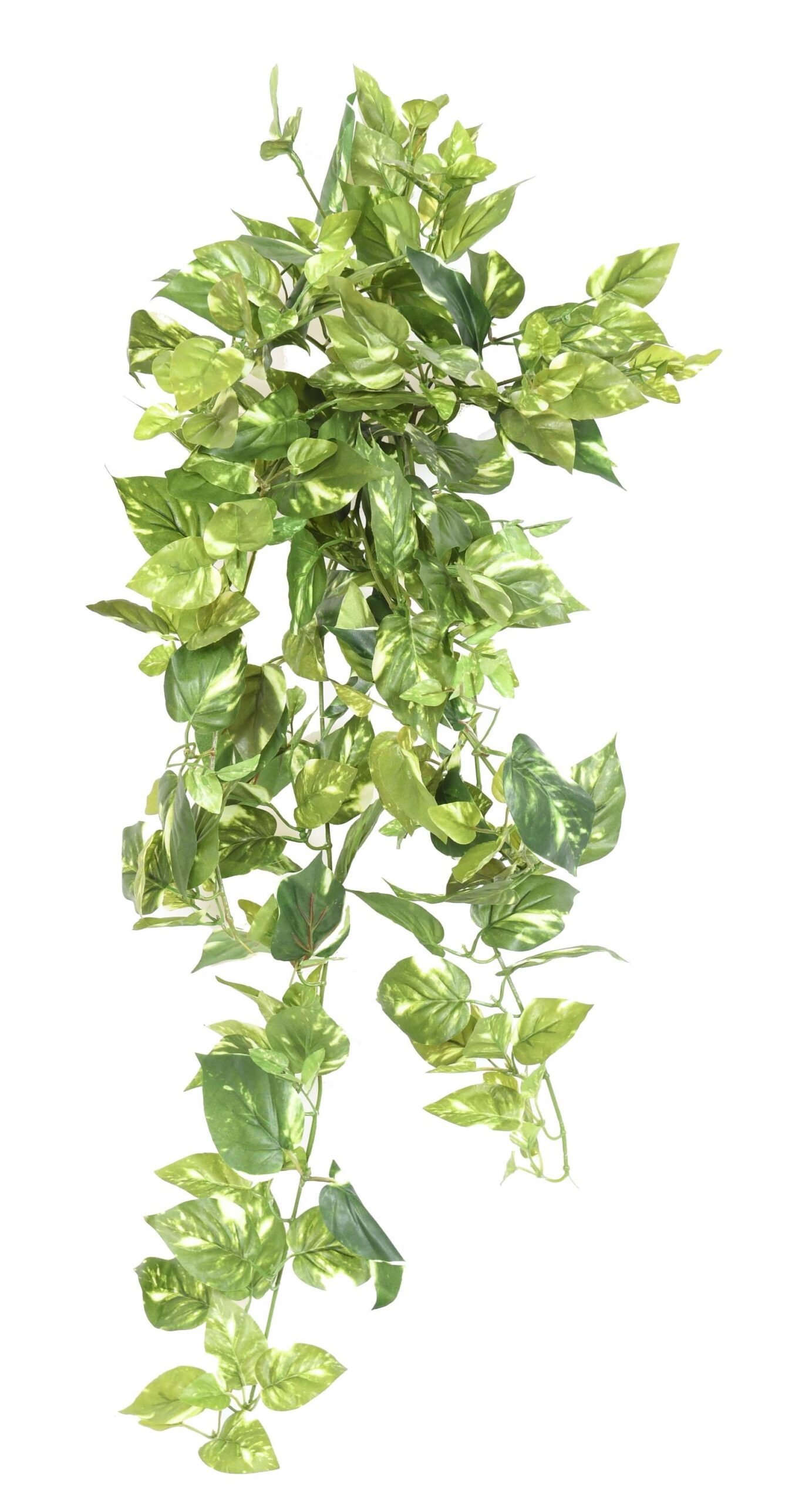Künstliche Hängepflanze Pothos, ca. 80cm 1 Künstliche Hängepflanze Pothos, ca. 80cm