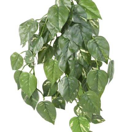 Künstliche Hängepflanze Pothos, ca. 75cm, UV-beständig