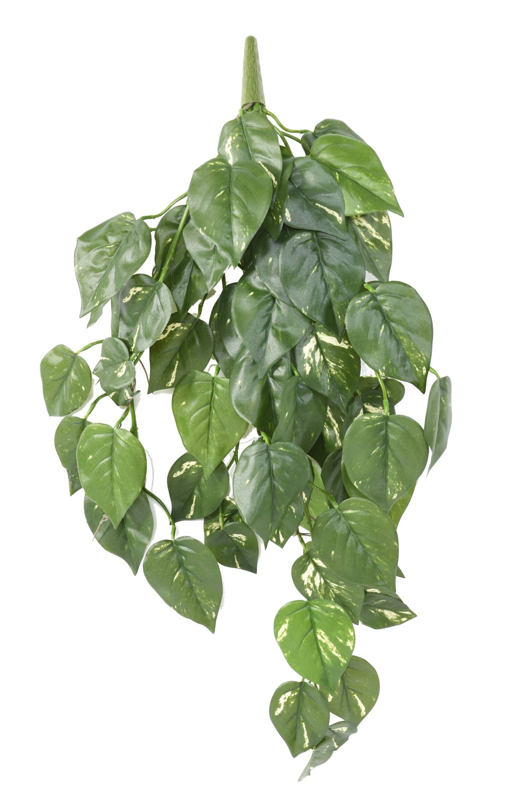 Künstliche Hängepflanze Pothos, ca. 75cm, UV-beständig 1 Künstliche Hängepflanze Pothos, ca. 75cm, UV-beständig