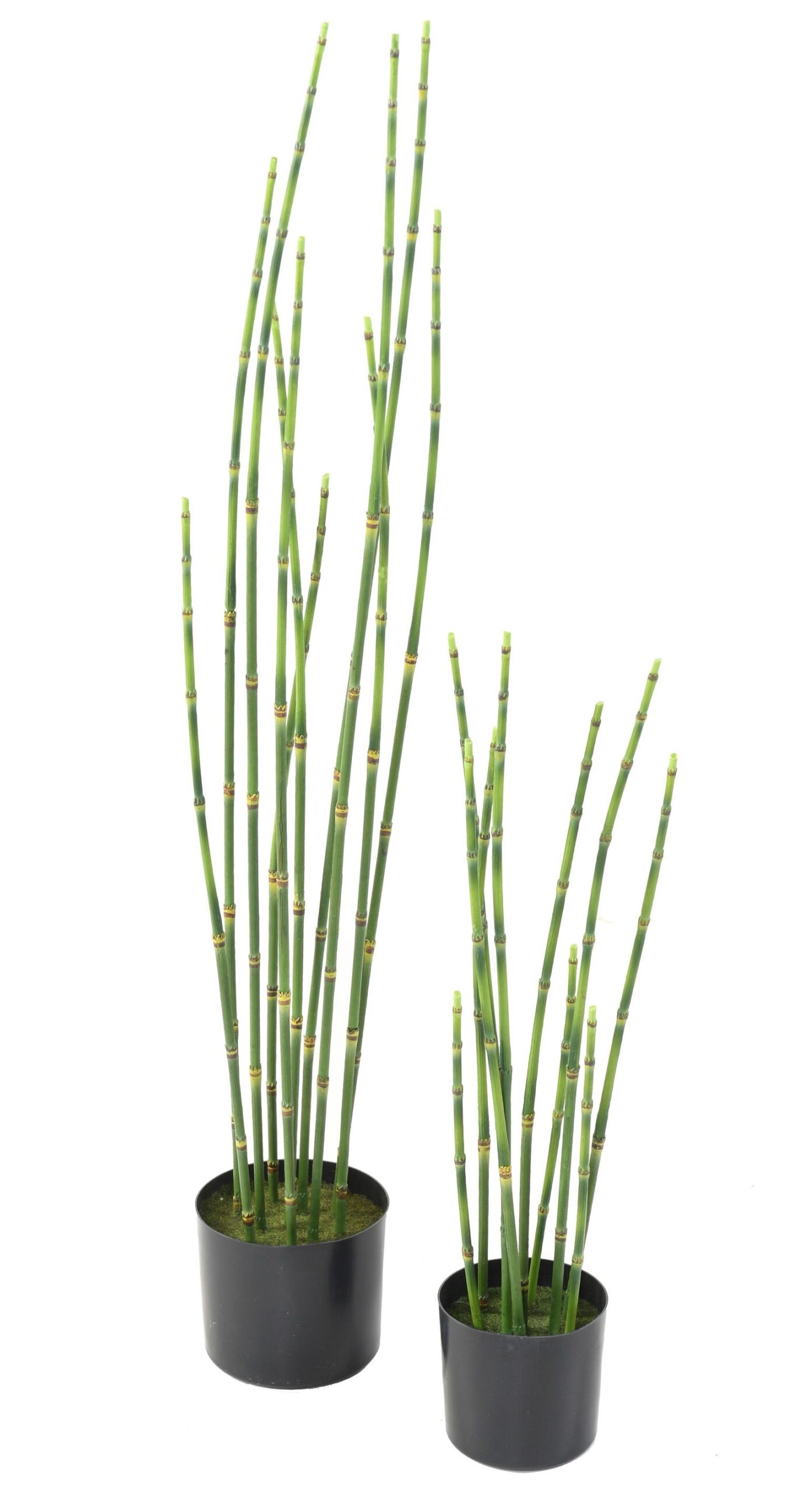 Künstlicher Presle: Pflegeleichte Deko für Ihr Zuhause 1 Künstlicher Presle: Pflegeleichte Deko für Ihr Zuhause