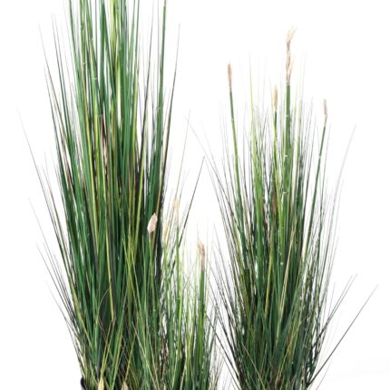 Künstlicher Presle: Pflegeleichte Deko für Ihr Zuhause