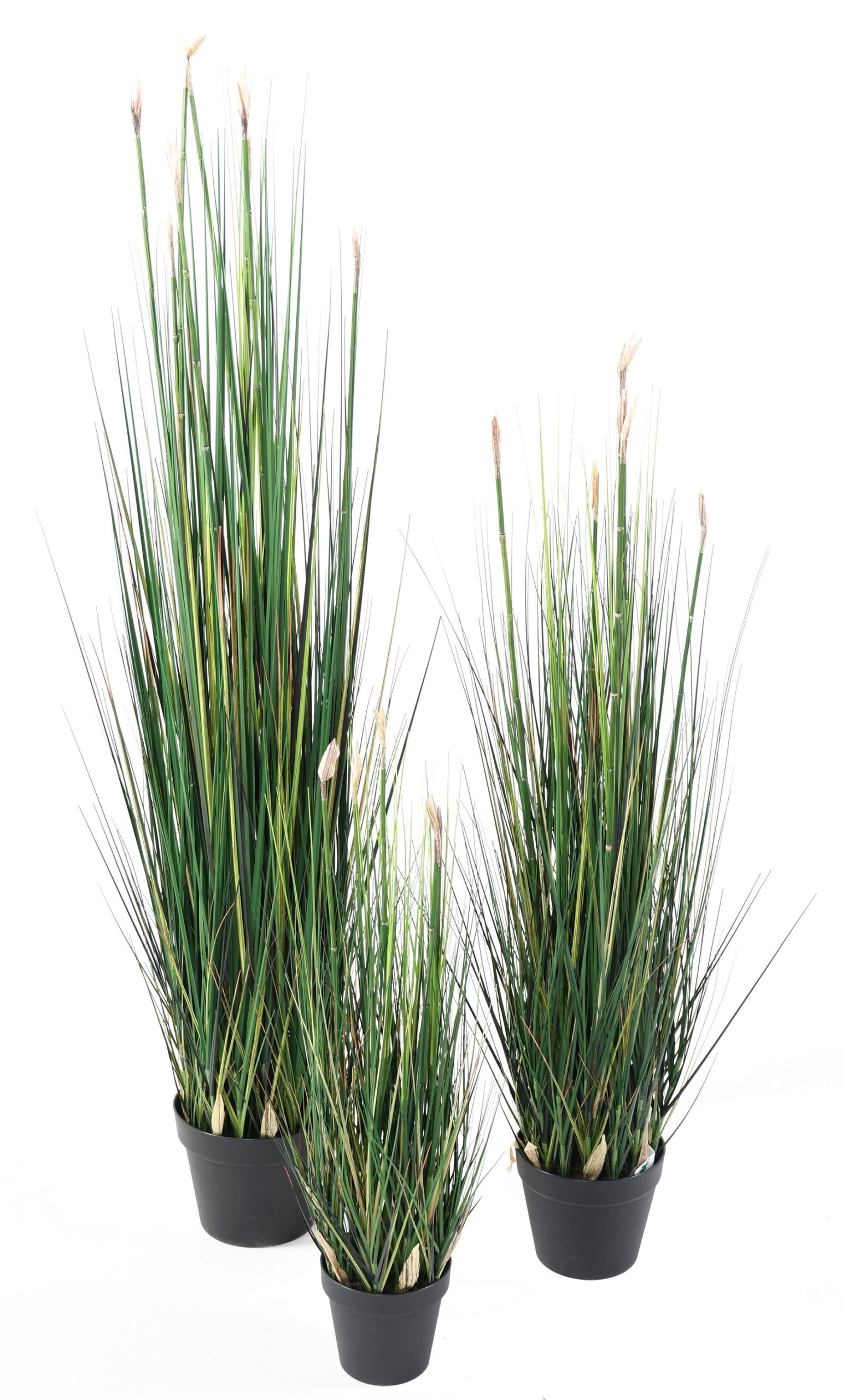 Künstlicher Presle: Pflegeleichte Deko für Ihr Zuhause 1 Künstlicher Presle: Pflegeleichte Deko für Ihr Zuhause