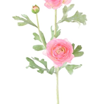 Künstliche Ranunkel, pink, ca. 53cm hoch - Pflegeleicht!
