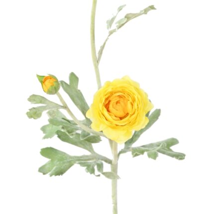Künstliche Ranunkel, gelb, ca. 53cm hoch - Pflegeleicht!