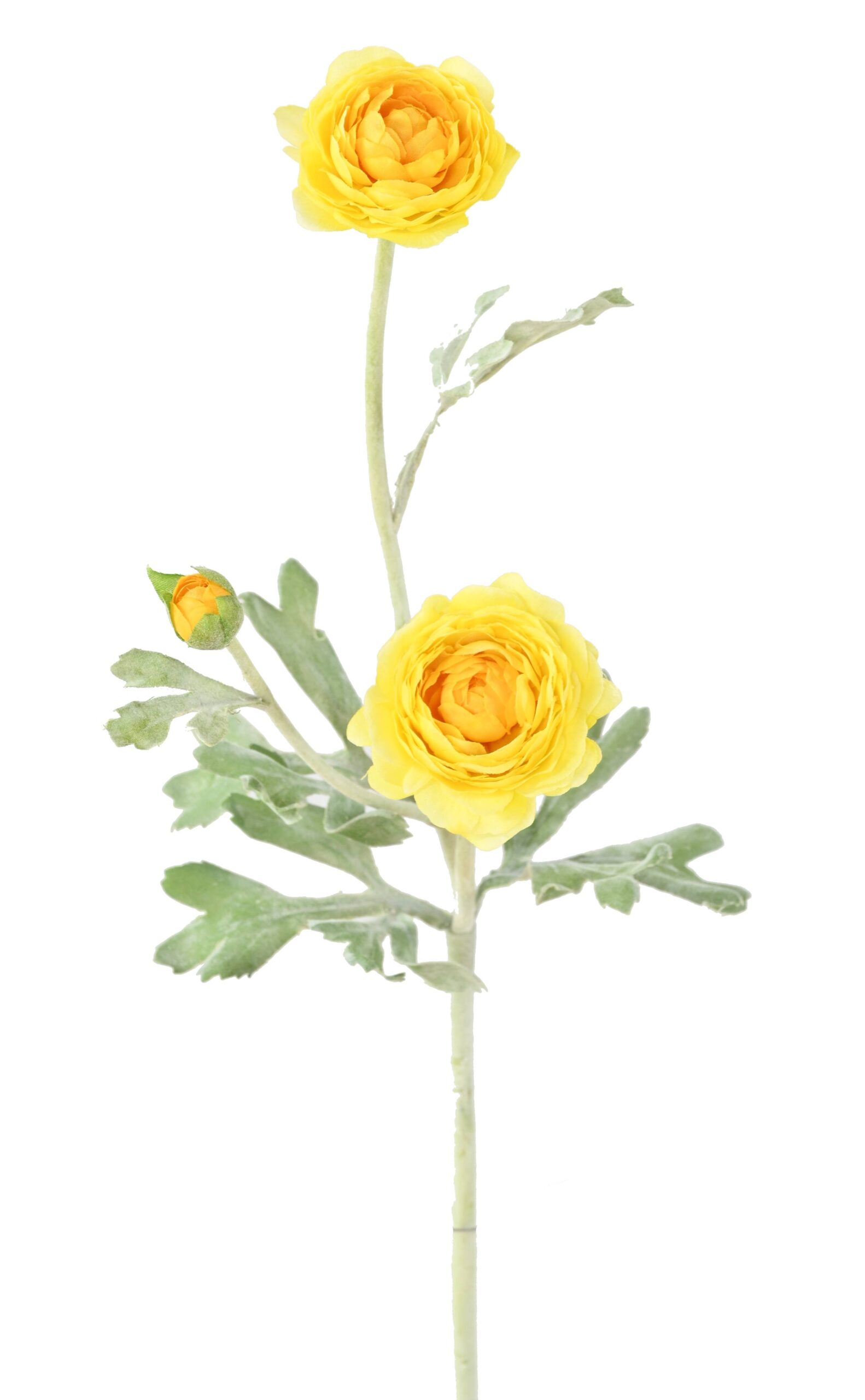 Künstliche Ranunkel, gelb, ca. 53cm hoch - Pflegeleicht! 1 Künstliche Ranunkel, gelb, ca. 53cm hoch - Pflegeleicht!