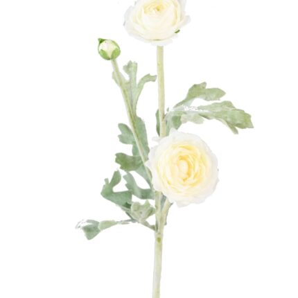 Künstliche Ranunkel, weiß, ca. 53cm hoch - Pflegeleicht!